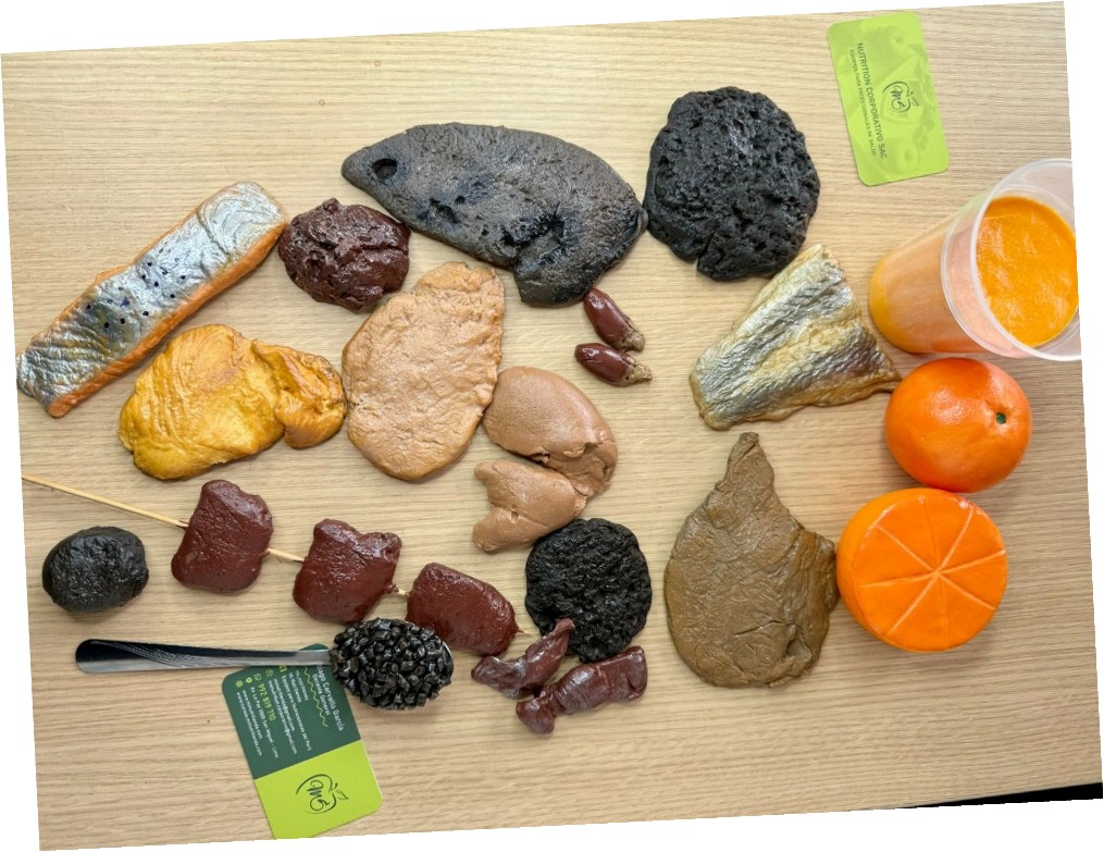 KIT DE 18 REPLICAS DE HIERRO EN CERAMICO EN FRIO - LUCHA CONTRA LA ANEMIA